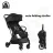 Cangaroo Easy Fold Sportbabakocsi 22 kg-ig - Black