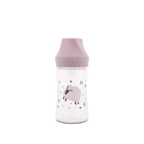 Lorelli My Friend széles nyakú cumisüveg 250ml - Mellow Rose