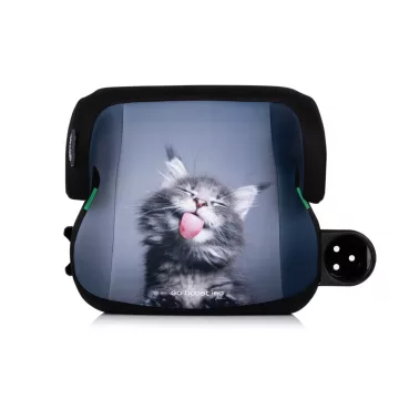   Chipolino Go Boost Iso autós ülésmagasító 125-150 cm - cat