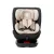 Lorelli Concord Pro autósülés Isofix 40-150cm - Beige