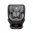 Lorelli Concord Pro autósülés Isofix 40-150cm - Grey