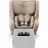 Britax Römer Dualfix 5Z Style gyerekülés 61-105 cm - Teak